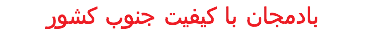 بادمجان با کیفیت جنوب کشور