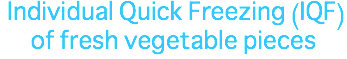 &nbsp;Individual Quick Freezing (IQF) of fresh vegetable pieces
