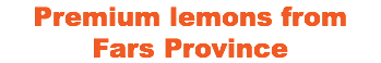Premium lemons from Fars Province