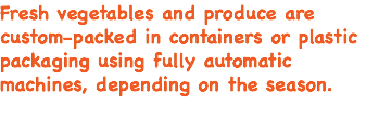Fresh vegetables and produce are custom-packed in containers or plastic packaging using fully automatic machines, depending on the season. 