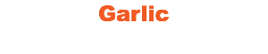 Garlic 