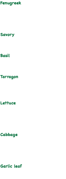 Fenugreek Savory Basil Tarragon Lettuce Cabbage Garlic leaf 